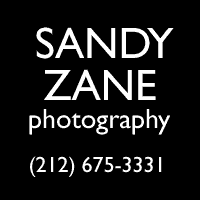 Sandy Zane: (212) 675-3331